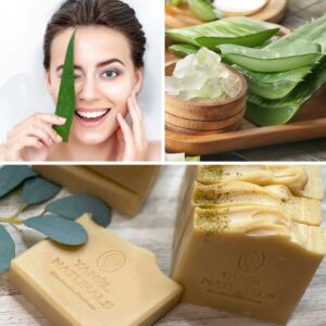Read more about the article Beneficios saludables del aloe vera para tu piel