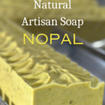 Prickly Pear Cactus Artisan Soap